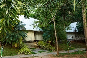 dandeli resorts for couples